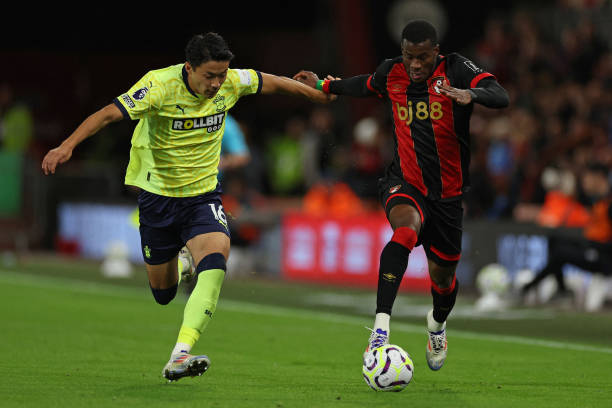 网球运动的 网球运动的